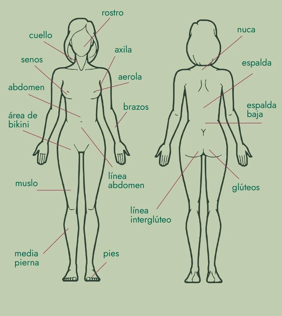Lámina de VitalFit con las 17 zonas de depilación señaladas sobre dos siluetas, de frente y de espalda: rostro, cuello, senos, areola, abdomen, línea de abdomen, área de bikini, muslo, media pierna, pies, axila, brazos, nuca, espalda, espalda baja, glúteos y línea interglútea.